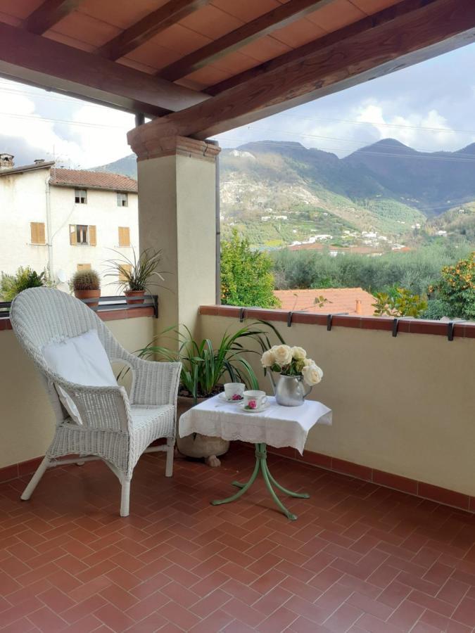 Rustico Degli Ulivi Villa Vallecchia Eksteriør billede