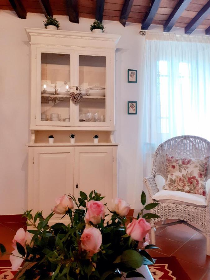 Rustico Degli Ulivi Villa Vallecchia Eksteriør billede